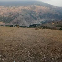 فروش پنج هزار متر زمین زراعی سند دار|فروش زمین و ملک کلنگی|رودبار, |دیوار