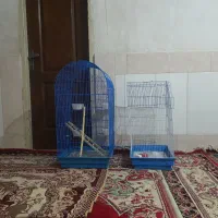 قفس سالم و بزرگ پیام دهید