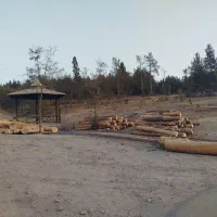 خرید انواع چوب|خدمات باغبانی و درختکاری|اقبالیه, |دیوار