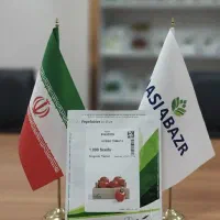 بذر گوجه 4129 سمینیس تاریخ ۲۰۲۵
