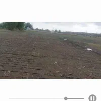 زمین کشاورزی