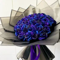 حراج|حراج|رشت, یخسازی|دیوار