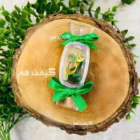 گیفت مذهبی تولد حضرت علی مولودی