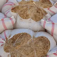 کاه گندم دیم عالی