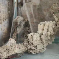 آکواریوم شرکتی شیشه خم ماهیران|لوازم جانبی حیوانات|همدان, |دیوار