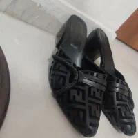 دمپایی مجلس