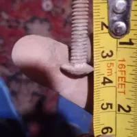 پیچومهره|ابزارآلات|مراغه, |دیوار