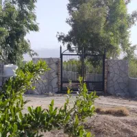 فروش باغ نقلی و سرسبز زیر قیمت