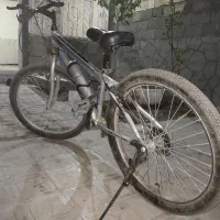 دوچرخه‌ویوا‌24