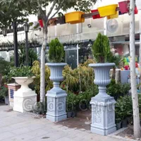 گلدان بزرگ پایه دار شهری فضای باز در تبریز|گل و گیاه طبیعی|خسروشاه, |دیوار