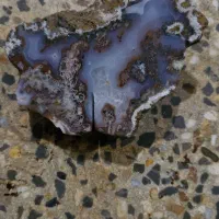 سنگ شجر راف پاییزه خراسان|زیورآلات و اکسسوری|الیگودرز, |دیوار