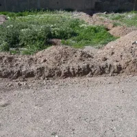 هرسین .زمین شهری ۱۹۲متر در کوچه شهید زینی|فروش زمین و ملک کلنگی|هرسین, |دیوار