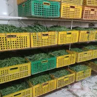 استخدام نیروی خانم