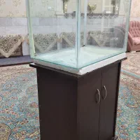 اکواریوم بزرگ با کمد|ماهی|یزد, |دیوار