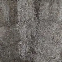 100 بسته کاه جو