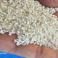 برنج عنبربو درجه یک تضمینی|خوردنی و آشامیدنی|دزفول, |دیوار