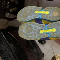 کتونی آورا|کیف، کفش، کمربند|شهریار, شهریار|دیوار