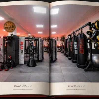 باشگاه تخصصی رزمی میعاد تنها قفس MMA