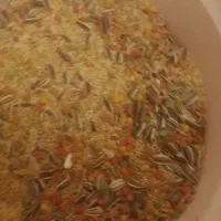 خوراک مخلوط درجه یک طوطیسانان کیلویی ۹۵ هزارتومن|لوازم جانبی حیوانات|سیستان, |دیوار