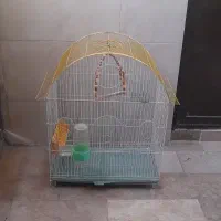 3 عدد قفس پرنده