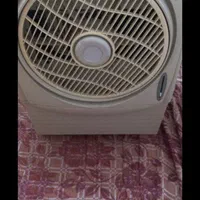 کولرابی سلولوزی