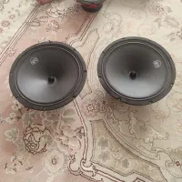 میدرنج سایز 10  LS