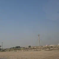 زمین کشاورزی برای گندم چسبیده ب کانال آب