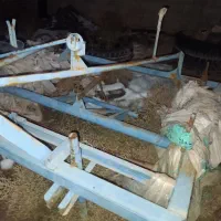 ادوات کشاورزی تراکتور