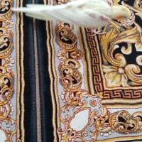 عروس هلندی|پرنده|قم, ولیعصر|دیوار