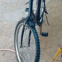 دوچرخه سالم آساک اصل|دوچرخه، اسکیت، اسکوتر|بجنورد, |دیوار