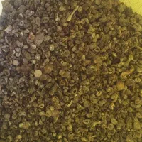 کود کبوتر وحشی|خدمات باغبانی و درختکاری|بروجرد, |دیوار