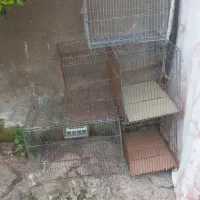 قفس پرنده