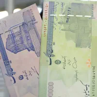 سرمایه پذیر و مشارکت در منافع و شراکت تضمینی