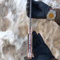 چاقوشکاری کلکسیونی وموزه ای اثر فاخر|کلکسیون اشیاء عتیقه|شیراز, درکی|دیوار