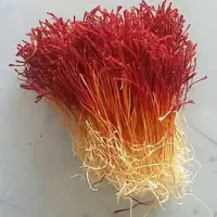 زعفران قاین