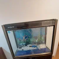 آکواریوم شرکتی risheng|ماهی|شیراز, معالیآباد|دیوار