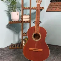 گیتار پارسی p40