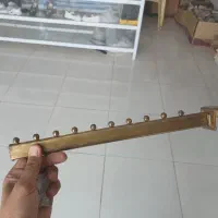 رگال تیله ای طلایی،و پایه رگال طلایی