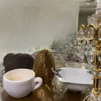 ظروف شیک