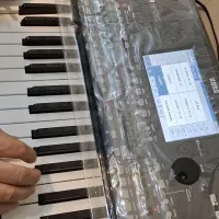 ارگ. گرگ p600 در حد واقعا نو