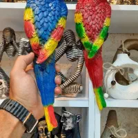 گلدان و دکوریجات