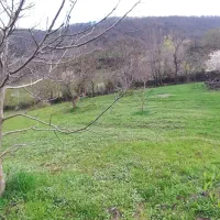 ۴ هزار متر زمین(باغ گردو)|فروش زمین و ملک کلنگی|برهسر, |دیوار