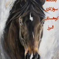 آموزش سوارکاری
