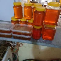 عسل گون|خوردنی و آشامیدنی|قم, آزادگان|دیوار