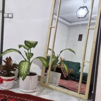 آیینه قدی قاب چوبی طبیعی