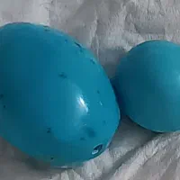 فبروزه نیشابور،بدون بهسازی.