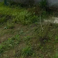 1000متر-زمین-مسکونی-بازکیاگوراب-چفل