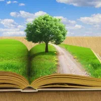 معلم خصوصی/ ابتدایی و متوسطه  هستم