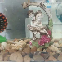 آکواریم شرکتی همراه حباب ساز