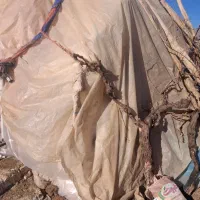 کاه لوبیا چیتی درجه ۱ و کاه گندم